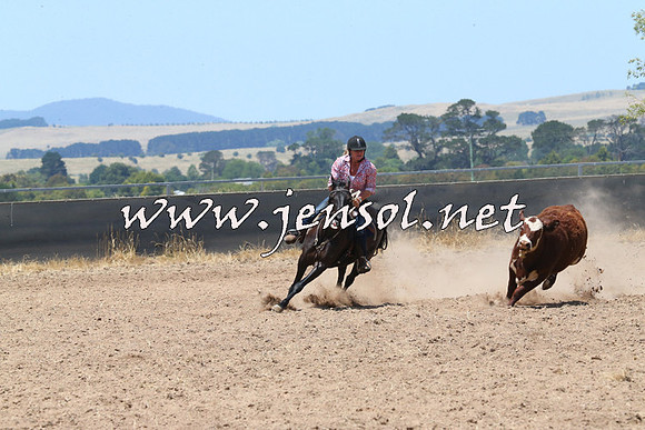 BraidwoodCampdraft2014_0925
