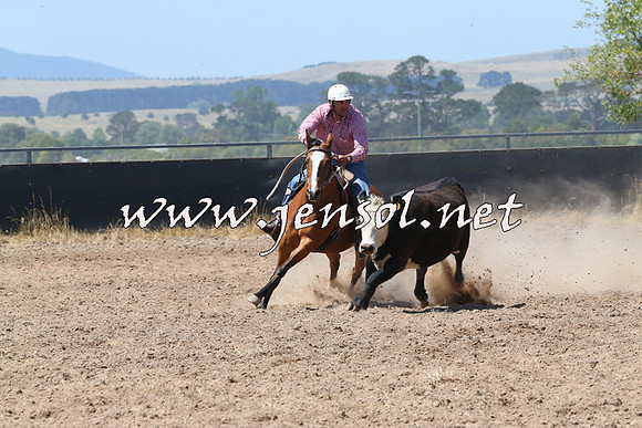 BraidwoodCampdraft2014_0705
