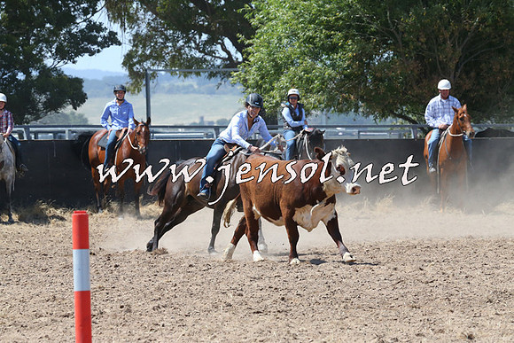 BraidwoodCampdraft2014_0658