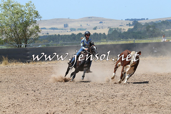 BraidwoodCampdraft2014_0800