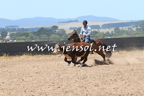 BraidwoodCampdraft2014_0883