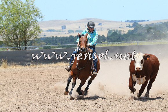 BraidwoodCampdraft2014_1007