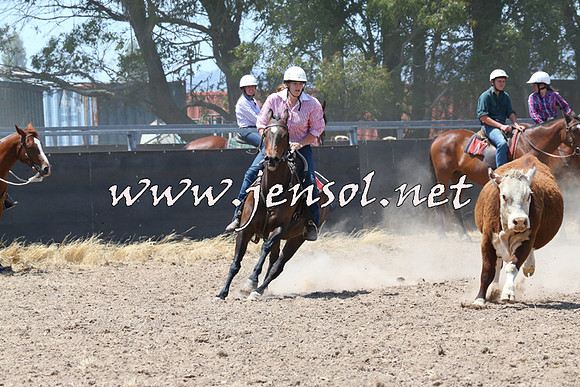 BraidwoodCampdraft2014_0824