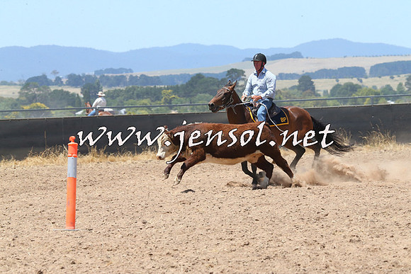BraidwoodCampdraft2014_0884