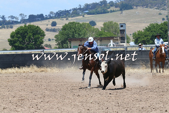 BraidwoodCampdraft2014_1047