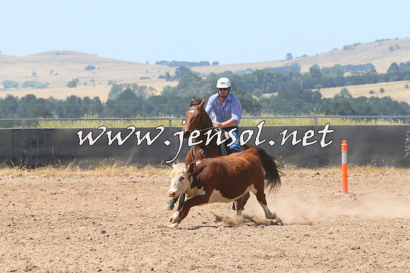 BraidwoodCampdraft2014_0678