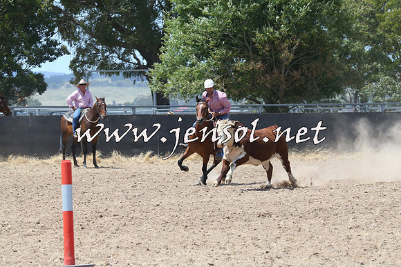 BraidwoodCampdraft2014_0872