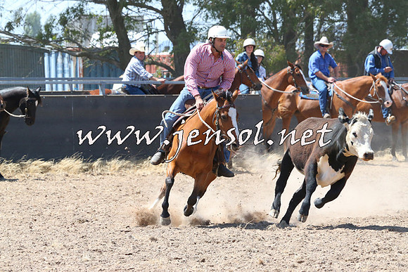 BraidwoodCampdraft2014_0722