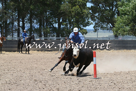 BraidwoodCampdraft2014_1050