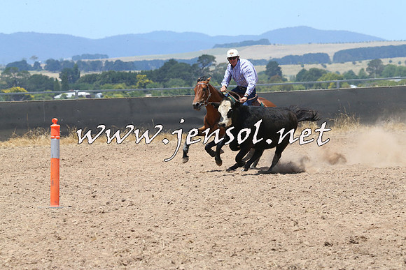 BraidwoodCampdraft2014_1036