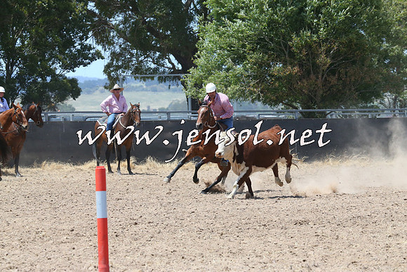 BraidwoodCampdraft2014_0871