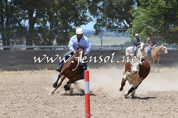BraidwoodCampdraft2014_0964