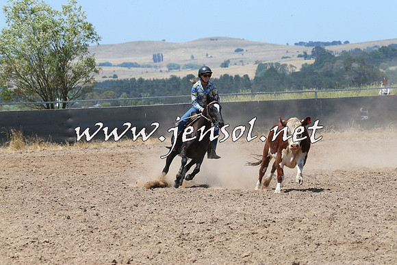 BraidwoodCampdraft2014_0801