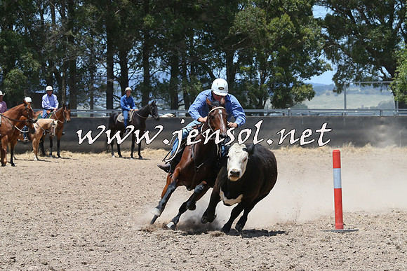 BraidwoodCampdraft2014_1056