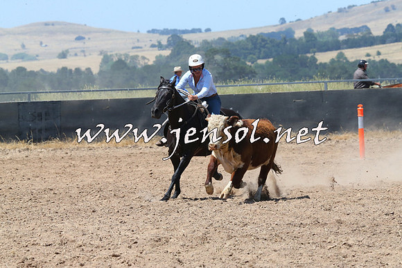 BraidwoodCampdraft2014_0770