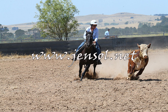 BraidwoodCampdraft2014_0762