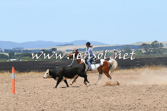 BraidwoodCampdraft2014_0937