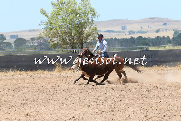 BraidwoodCampdraft2014_0888