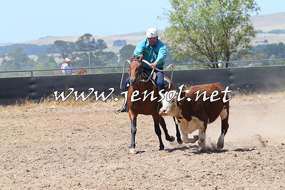 BraidwoodCampdraft2014_0781