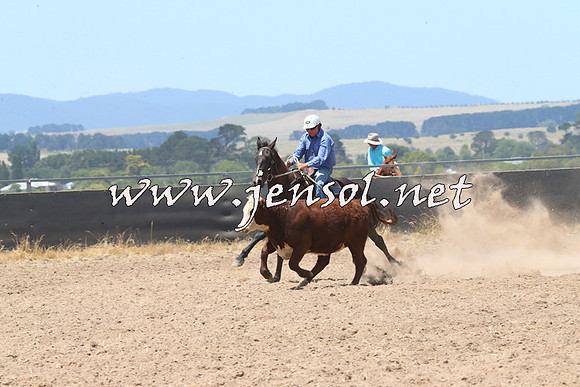 BraidwoodCampdraft2014_0894
