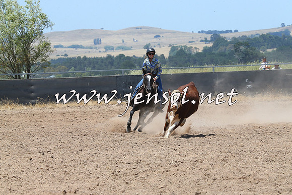BraidwoodCampdraft2014_0804