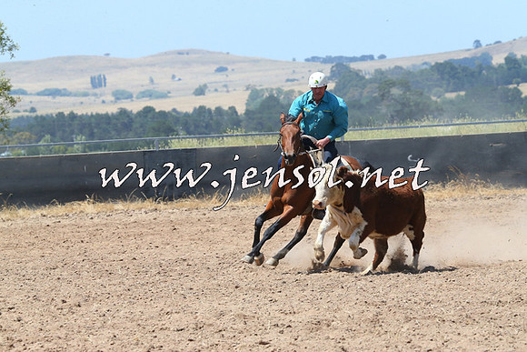BraidwoodCampdraft2014_0783