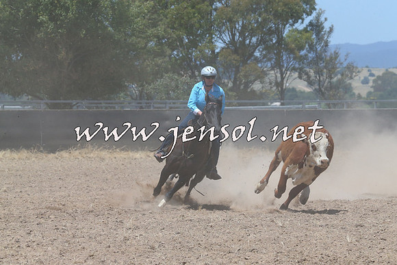BraidwoodCampdraft2014_0994