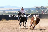 BraidwoodCampdraft2014_0639