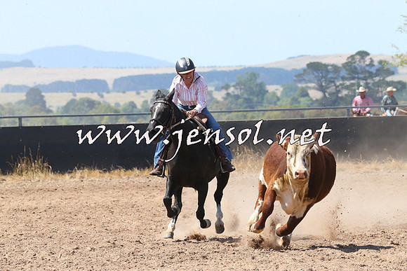 BraidwoodCampdraft2014_0639