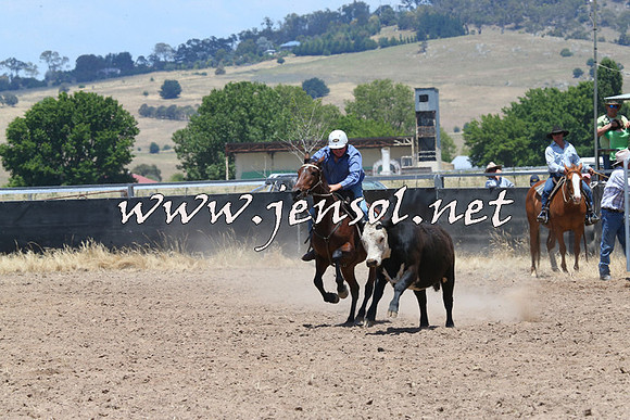 BraidwoodCampdraft2014_1045