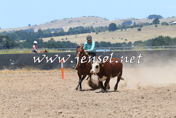 BraidwoodCampdraft2014_1010