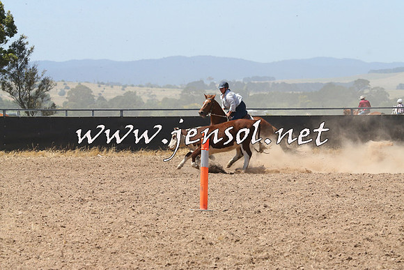 BraidwoodCampdraft2014_0753