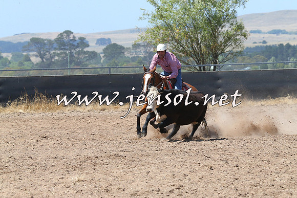 BraidwoodCampdraft2014_0712