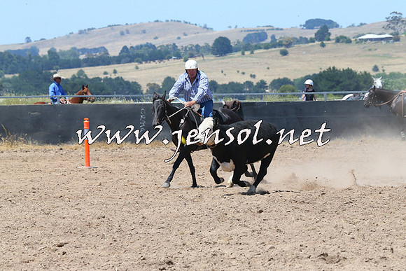 BraidwoodCampdraft2014_0795