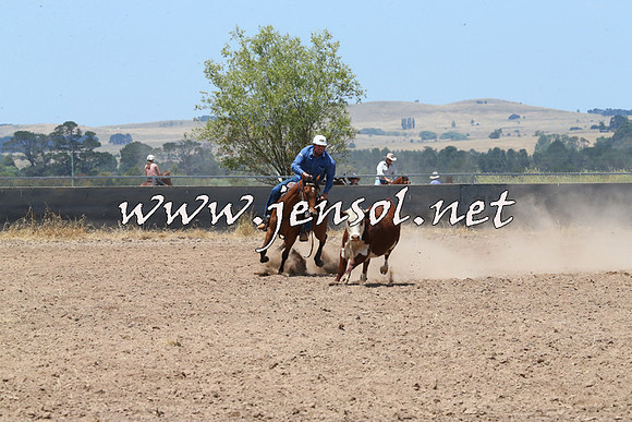 BraidwoodCampdraft2014_0912