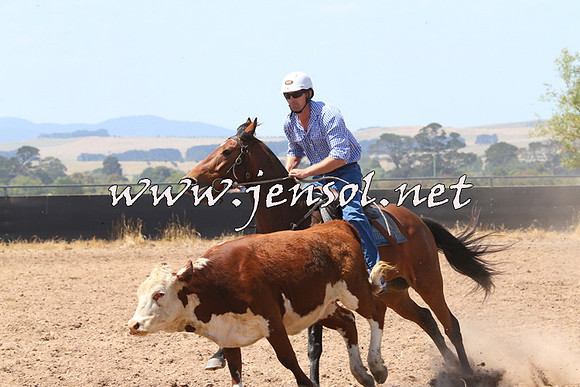 BraidwoodCampdraft2014_0687