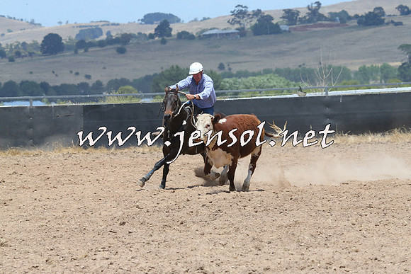 BraidwoodCampdraft2014_1069
