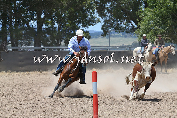 BraidwoodCampdraft2014_0963