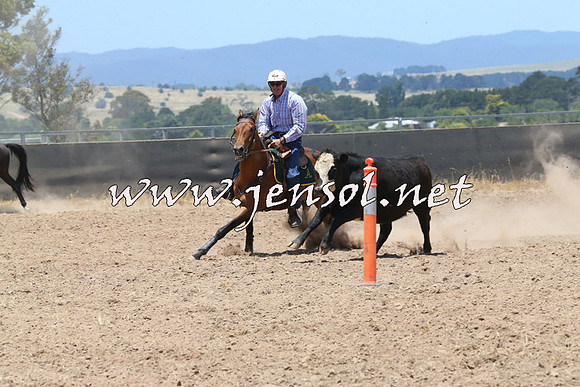 BraidwoodCampdraft2014_1026