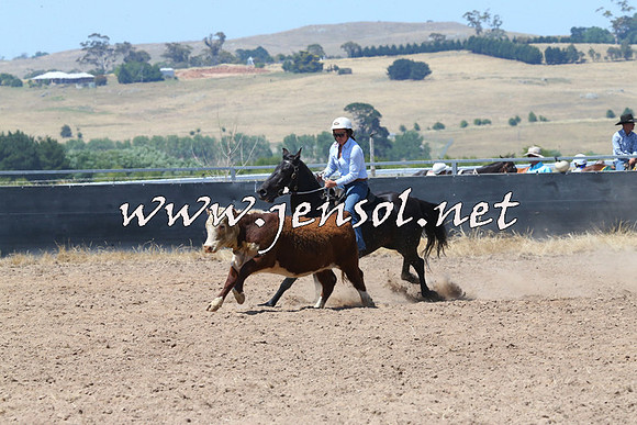 BraidwoodCampdraft2014_0760