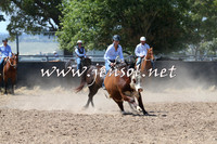 BraidwoodCampdraft2014_0654