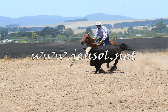 BraidwoodCampdraft2014_1034