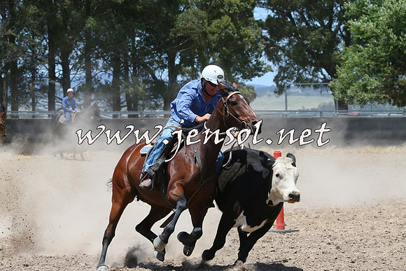 BraidwoodCampdraft2014_1054