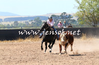 BraidwoodCampdraft2014_0642
