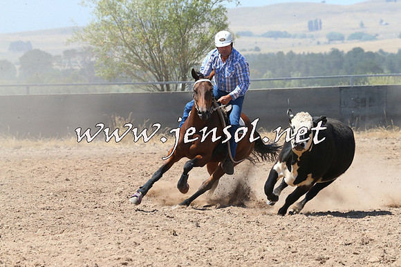 BraidwoodCampdraft2014_0699