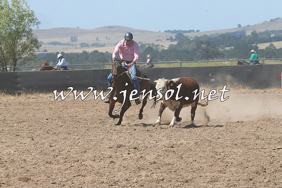 BraidwoodCampdraft2014_0676