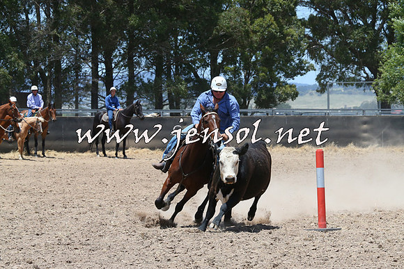 BraidwoodCampdraft2014_1057