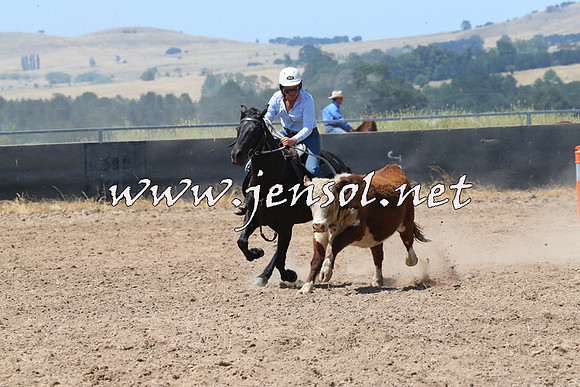 BraidwoodCampdraft2014_0769