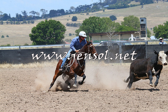 BraidwoodCampdraft2014_1048
