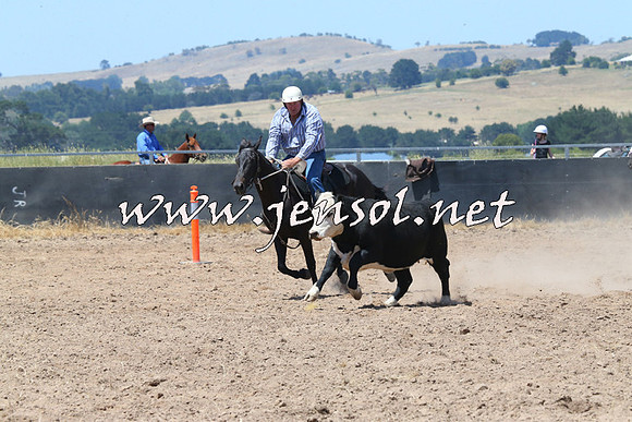 BraidwoodCampdraft2014_0794